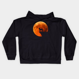 Moon And Akita Silhouette Kids Hoodie